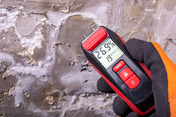  Laurel, MS Mold Removal Pros